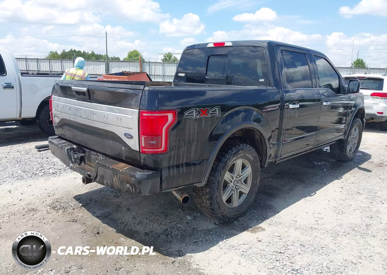 2015 Ford F-150 Platinum VIN:1FTEW1EG5FFC84621 - 4