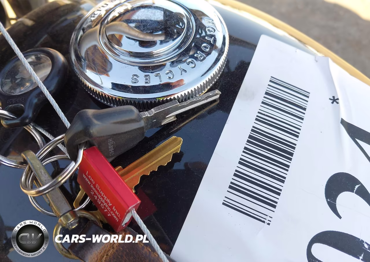 2024 Triumph Motorcycle Scrambler 900 VIN:SMTD44G71RTBS2303 - 11