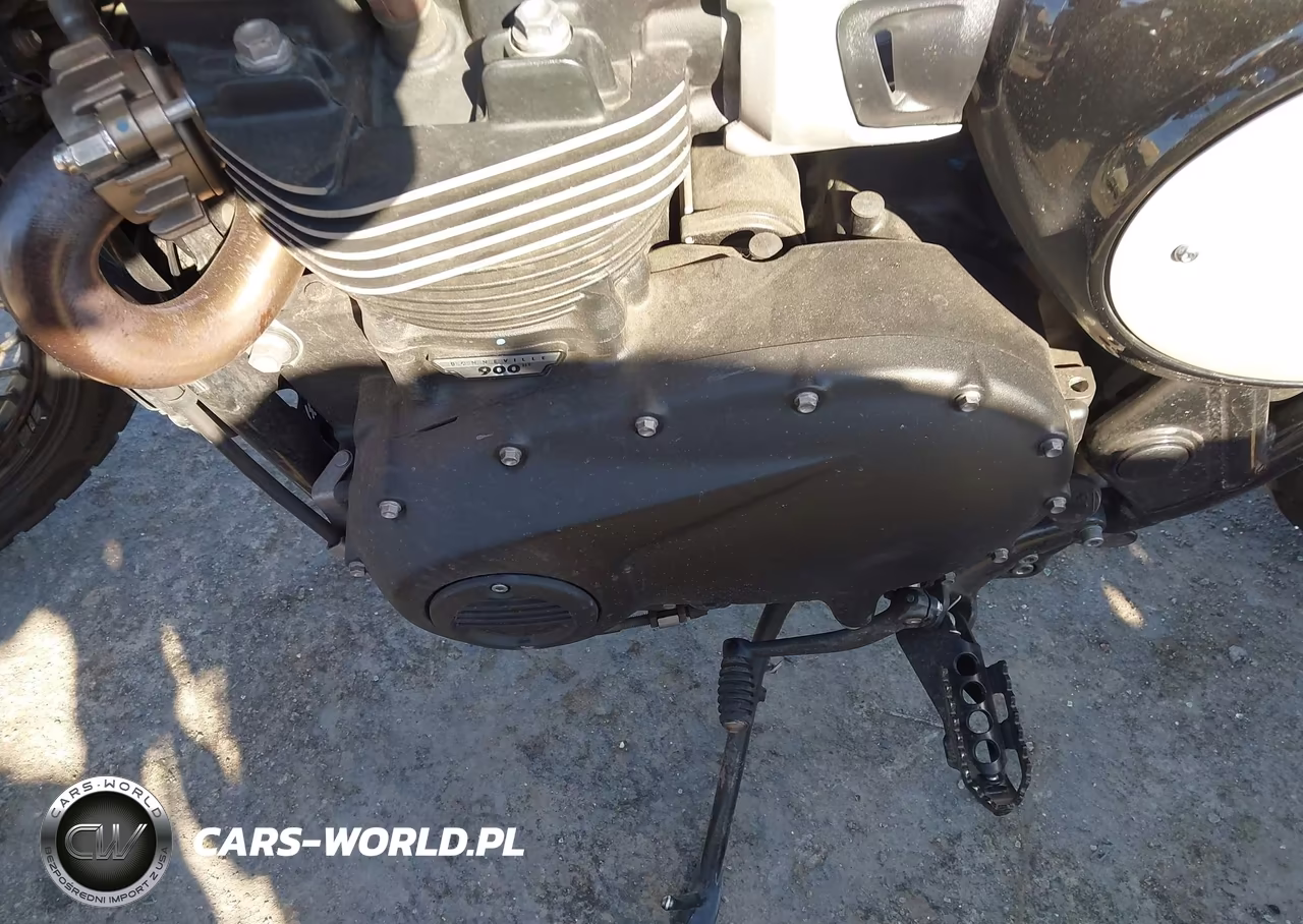 2024 Triumph Motorcycle Scrambler 900 VIN:SMTD44G71RTBS2303 - 9