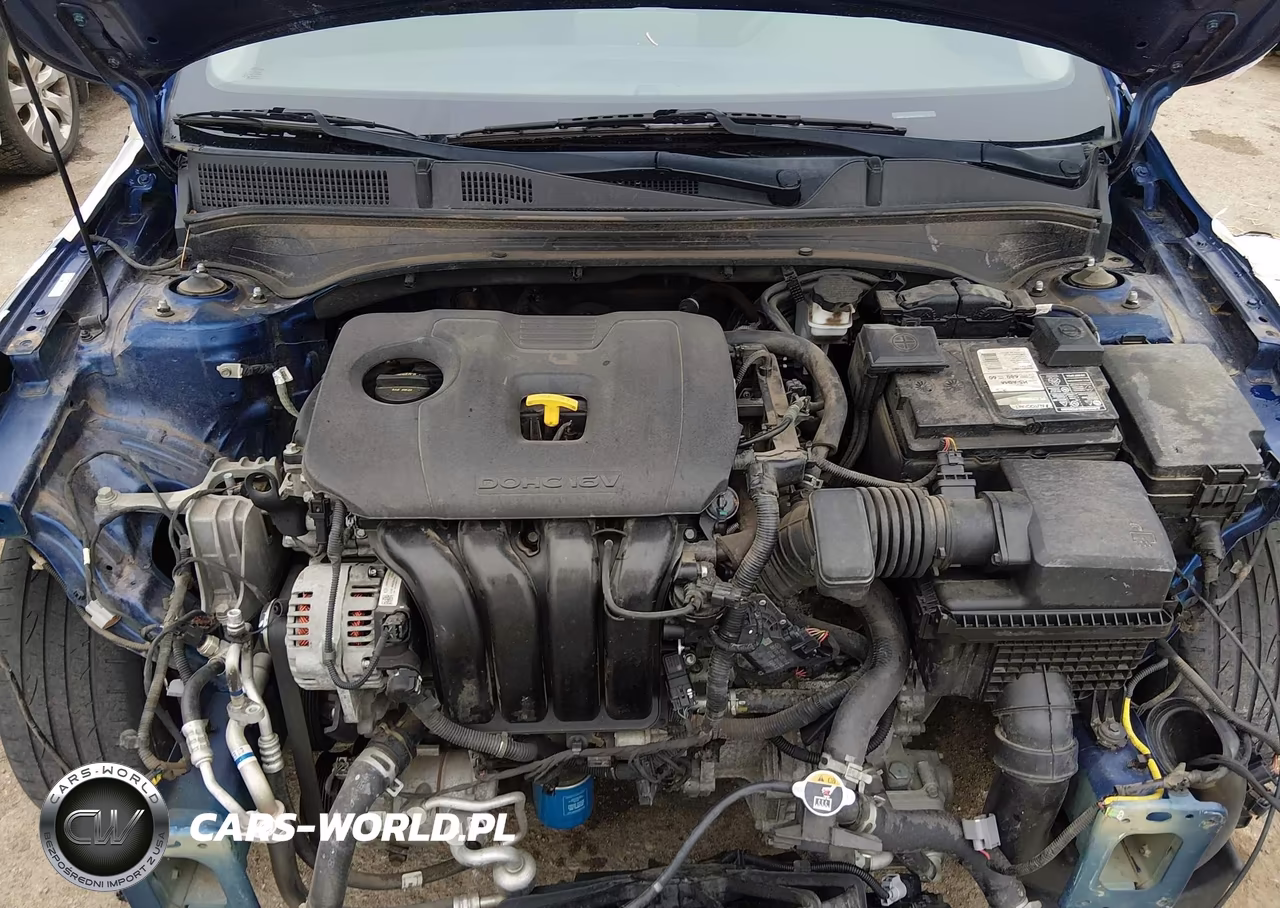 2019 Kia Forte Lxs VIN:3KPF24AD9KE115011 - 10
