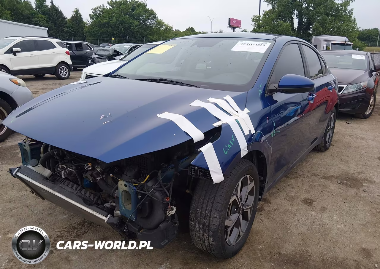 2019 Kia Forte Lxs VIN:3KPF24AD9KE115011 - 2