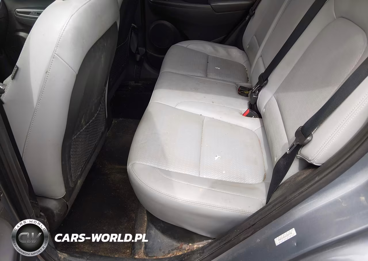 2019 Hyundai Kona Limited VIN:KM8K3CA5XKU264796 - 8