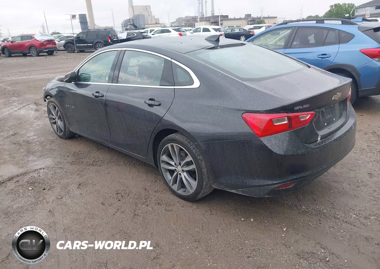 2023 Chevrolet Malibu Fwd 1Lt VIN:1G1ZD5ST3PF239591 - 3