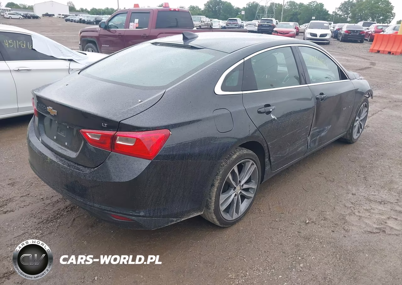 2023 Chevrolet Malibu Fwd 1Lt VIN:1G1ZD5ST3PF239591 - 4