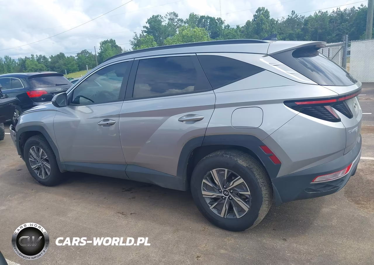 2022 Hyundai Tucson Hybrid Blue VIN:KM8JBCA19NU076674 - 14