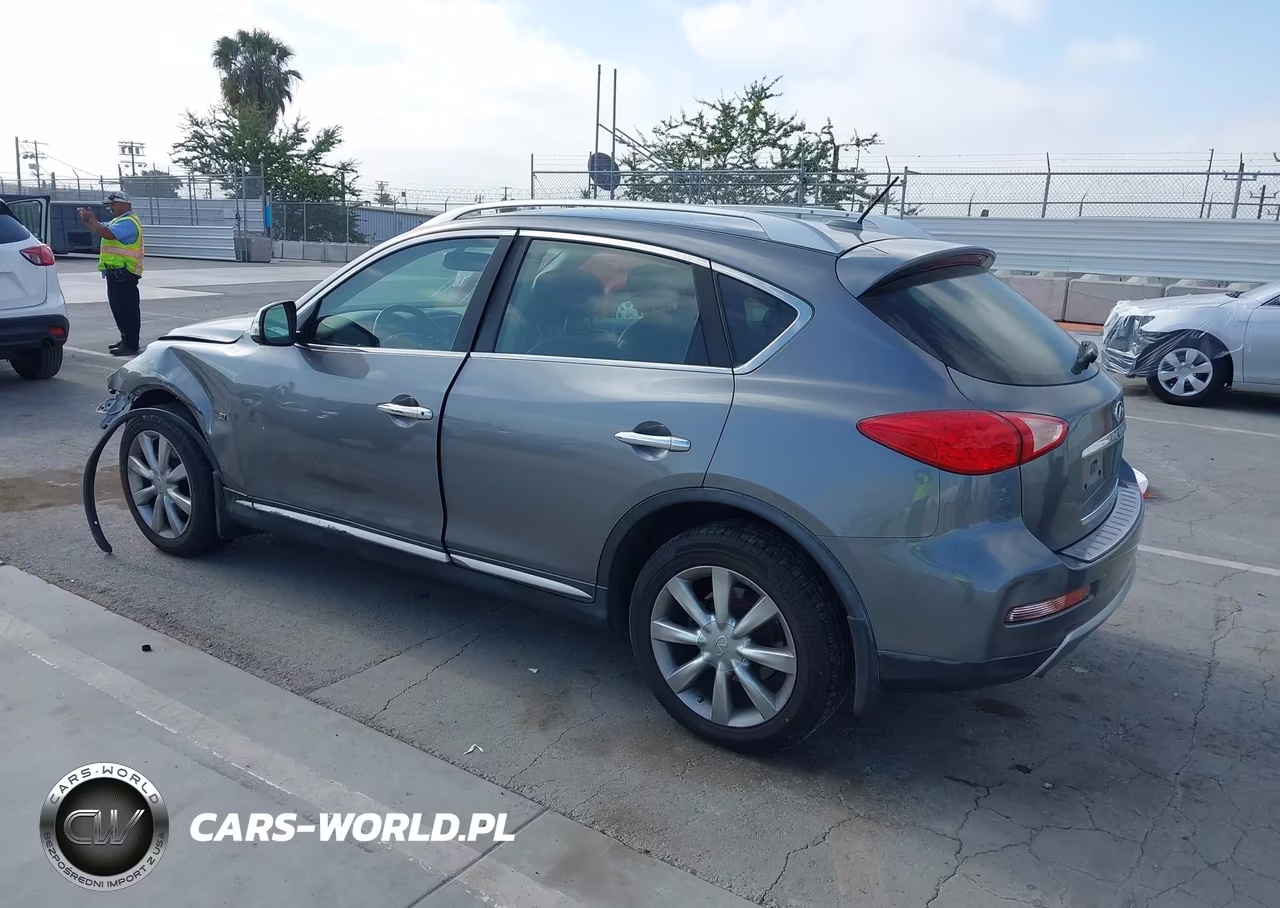 2017 Infiniti Qx50 VIN:JN1BJ0RP8HM380783 - 3