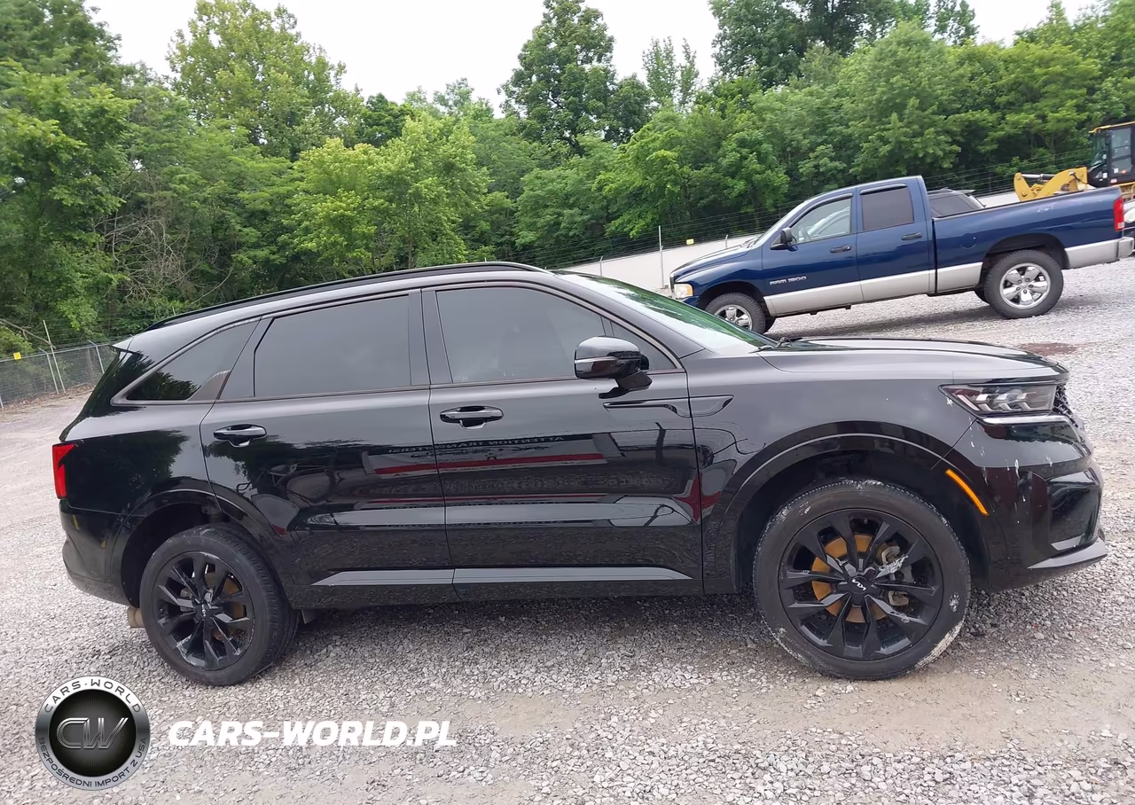 2022 Kia Sorento Sx VIN:5XYRKDLF6NG137843 - 12