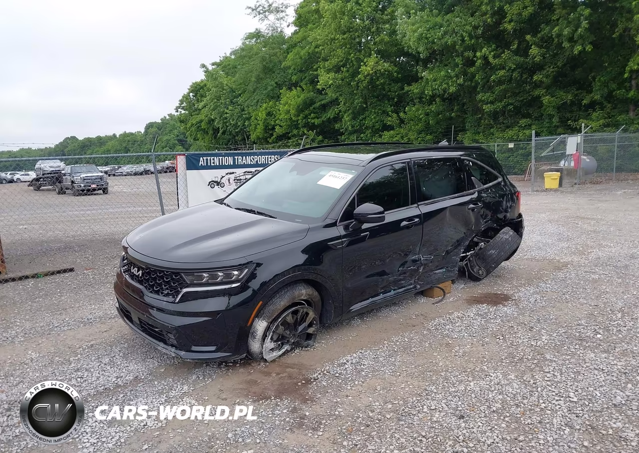 2022 Kia Sorento Sx VIN:5XYRKDLF6NG137843 - 2