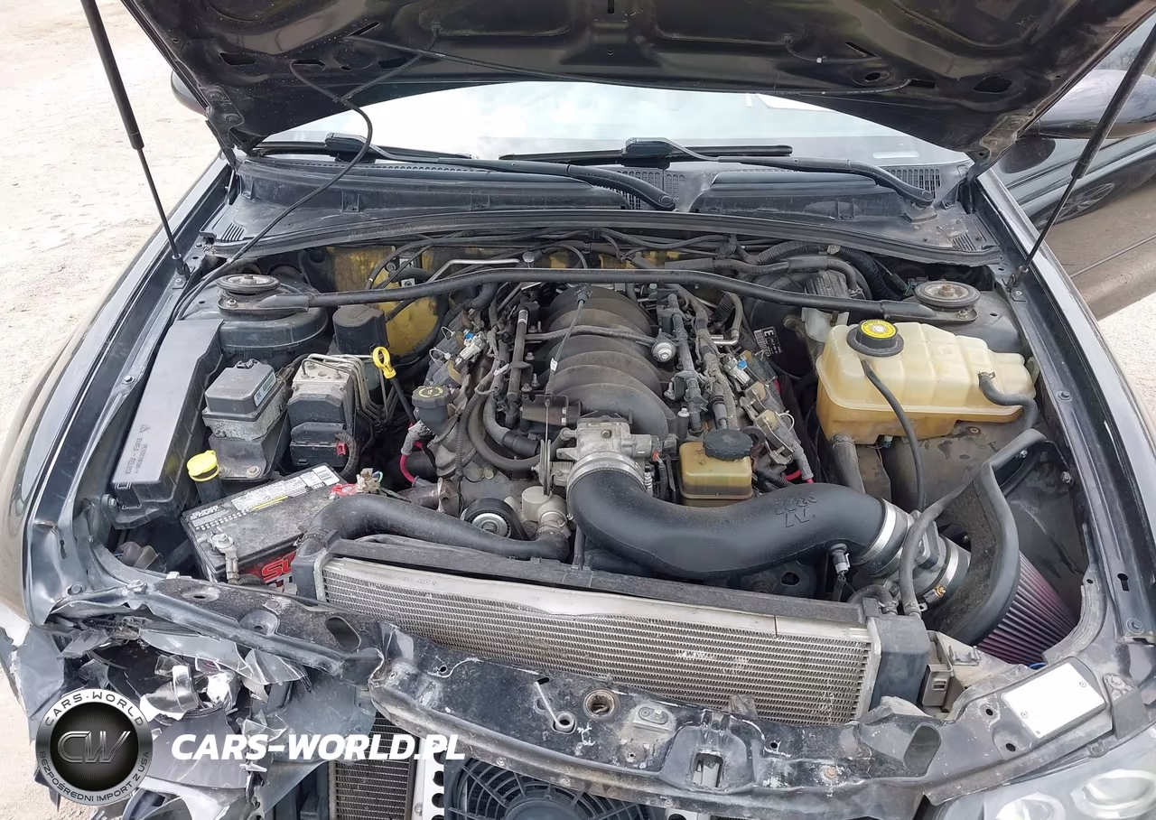 2004 Pontiac Gto VIN:6G2VX12G24L250174 - 10