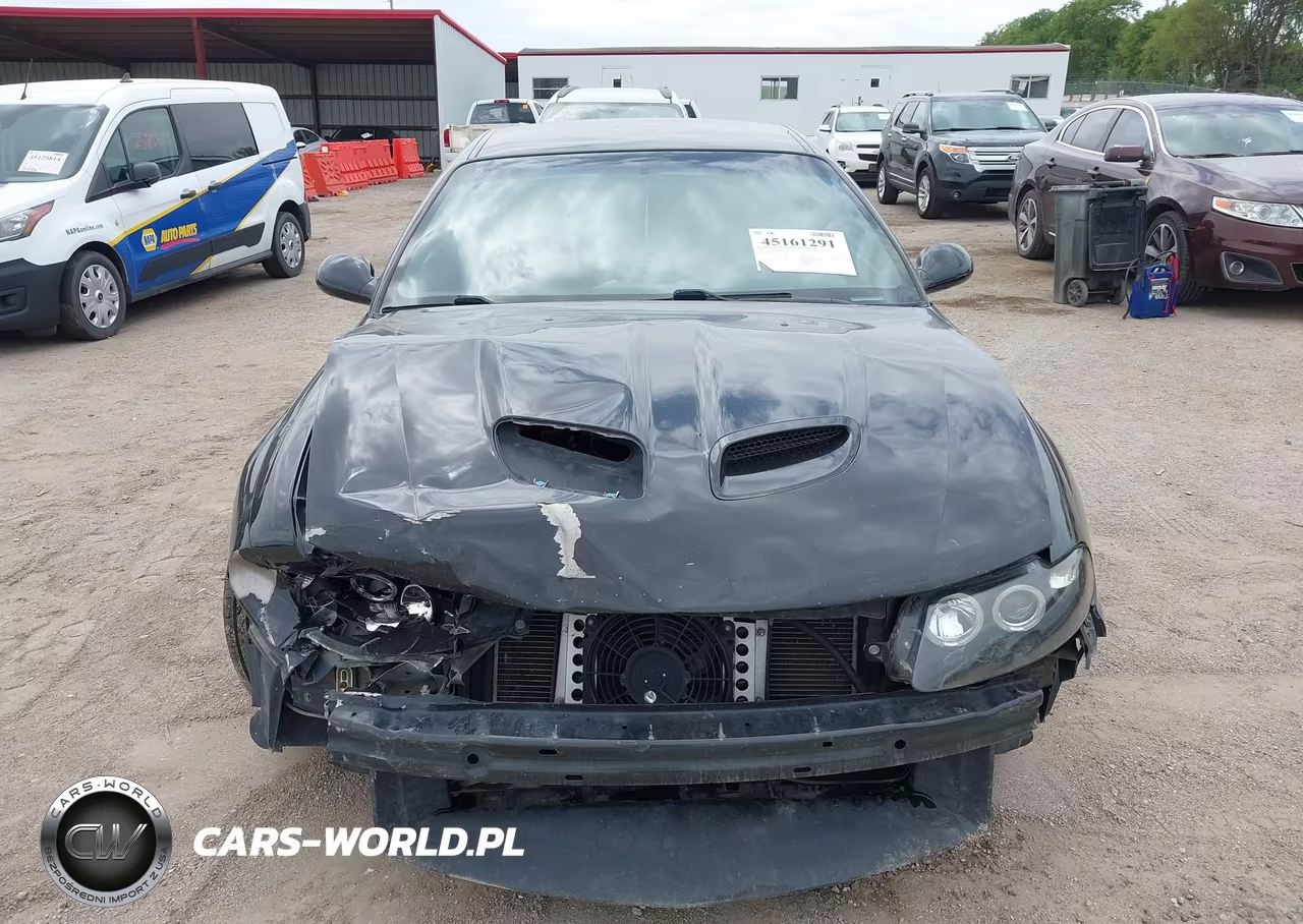 2004 Pontiac Gto VIN:6G2VX12G24L250174 - 13