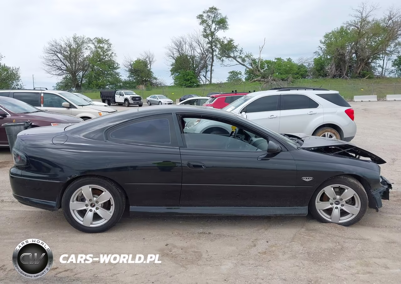 2004 Pontiac Gto VIN:6G2VX12G24L250174 - 14