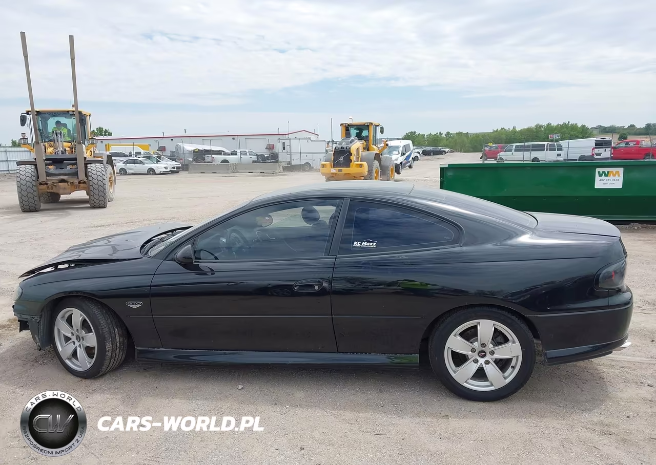 2004 Pontiac Gto VIN:6G2VX12G24L250174 - 15