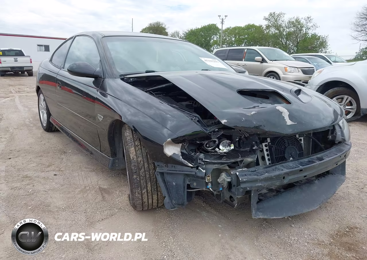 2004 Pontiac Gto VIN:6G2VX12G24L250174 - 19