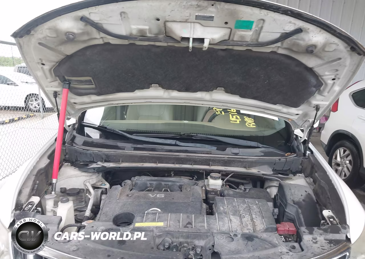 2010 Nissan Murano Sl VIN:JN8AZ1MU2AW019679 - 10