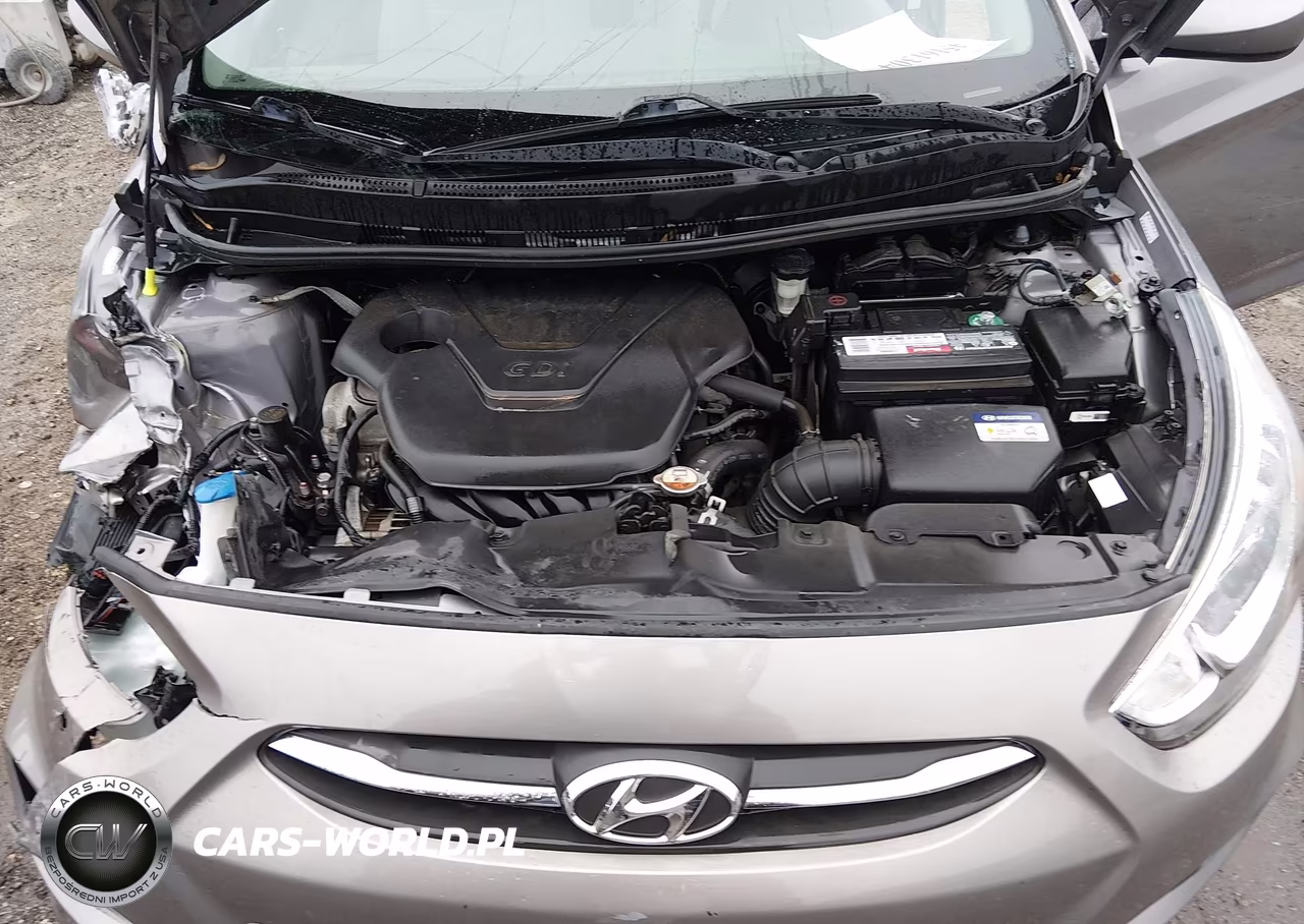 2017 Hyundai Accent Se VIN:KMHCT4AE0HU376753 - 10