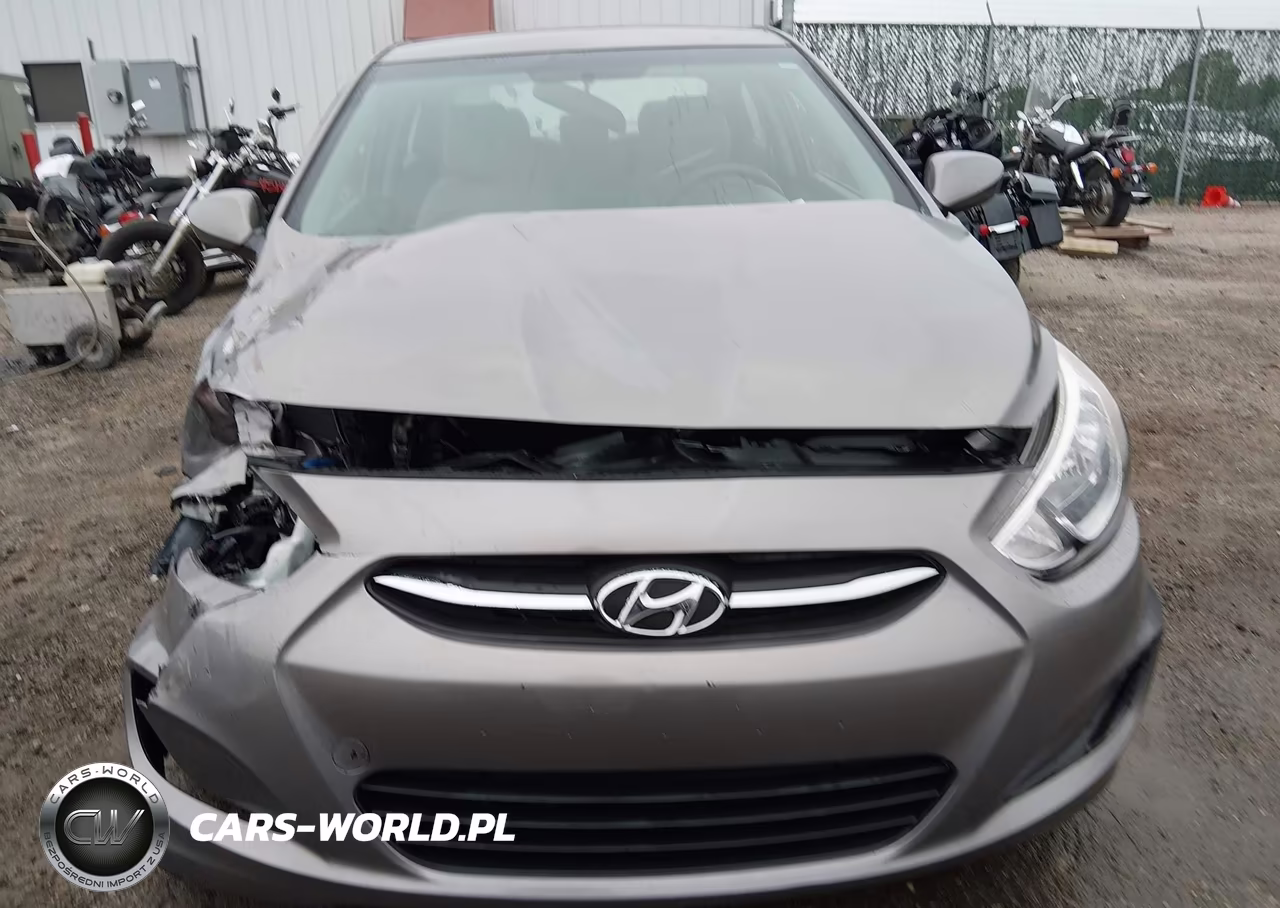 2017 Hyundai Accent Se VIN:KMHCT4AE0HU376753 - 12
