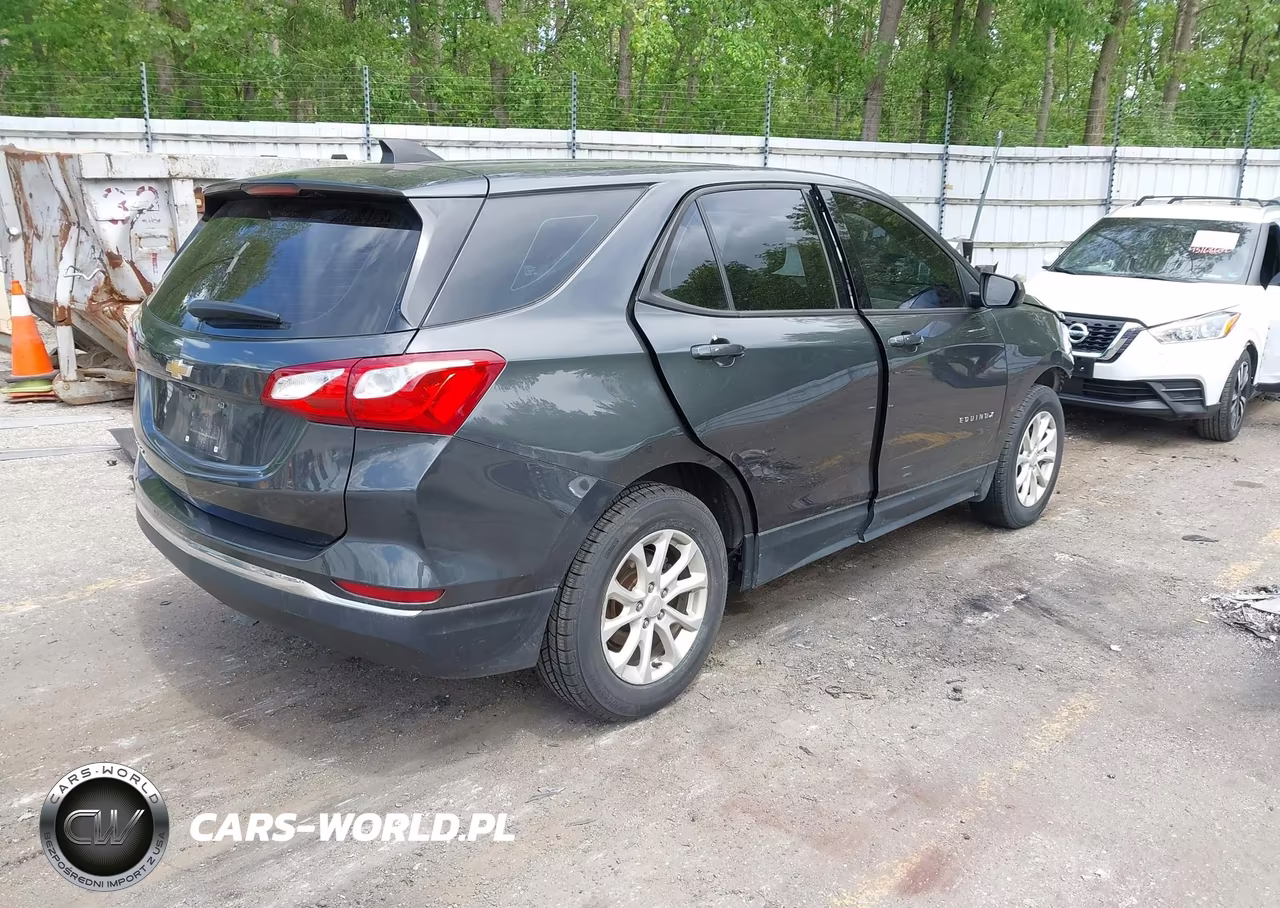 2018 Chevrolet Equinox Ls VIN:2GNAXHEV0J6335584 - 4