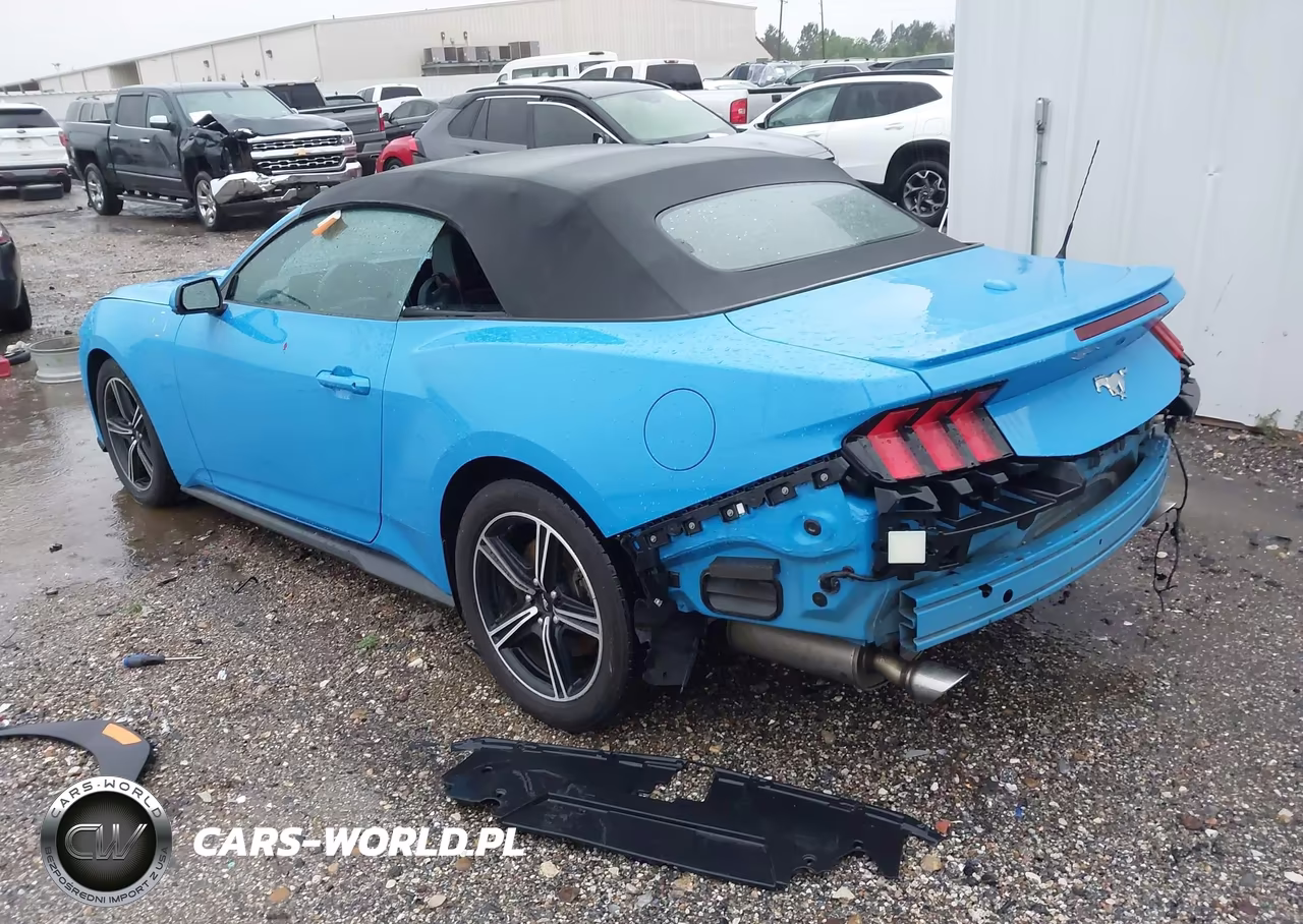 2024 Ford Mustang Ecoboost Premium VIN:1FAGP8UH3R5129929 - 3