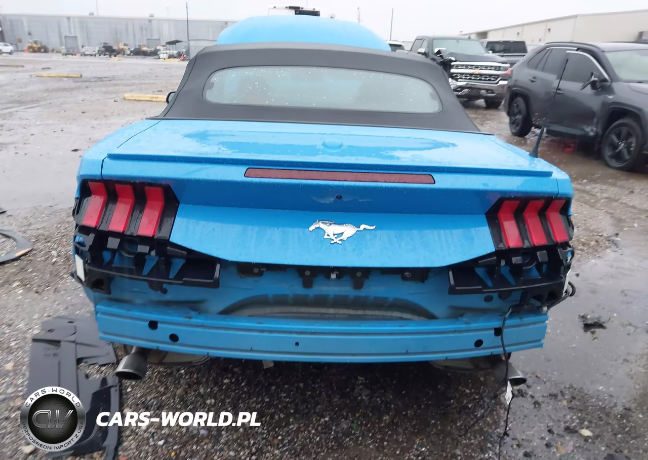 2024 Ford Mustang Ecoboost Premium VIN:1FAGP8UH3R5129929 - 6