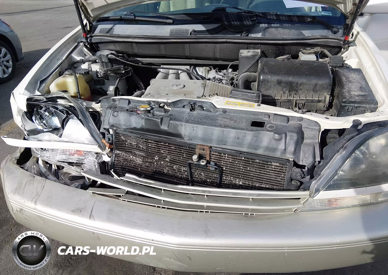 2000 Lexus Rx 300 VIN:JT6HF10U6Y0097895 - 10