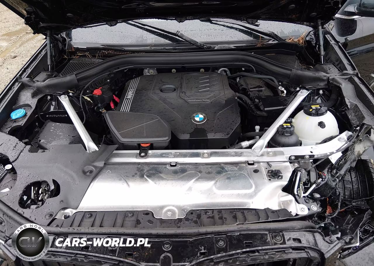 2023 BMW X3 xDrive30I VIN:WBX57DP04PN194062 - 10