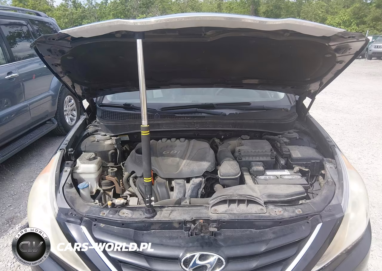 2011 Hyundai Sonata Gls VIN:5NPEB4AC8BH043846 - 10