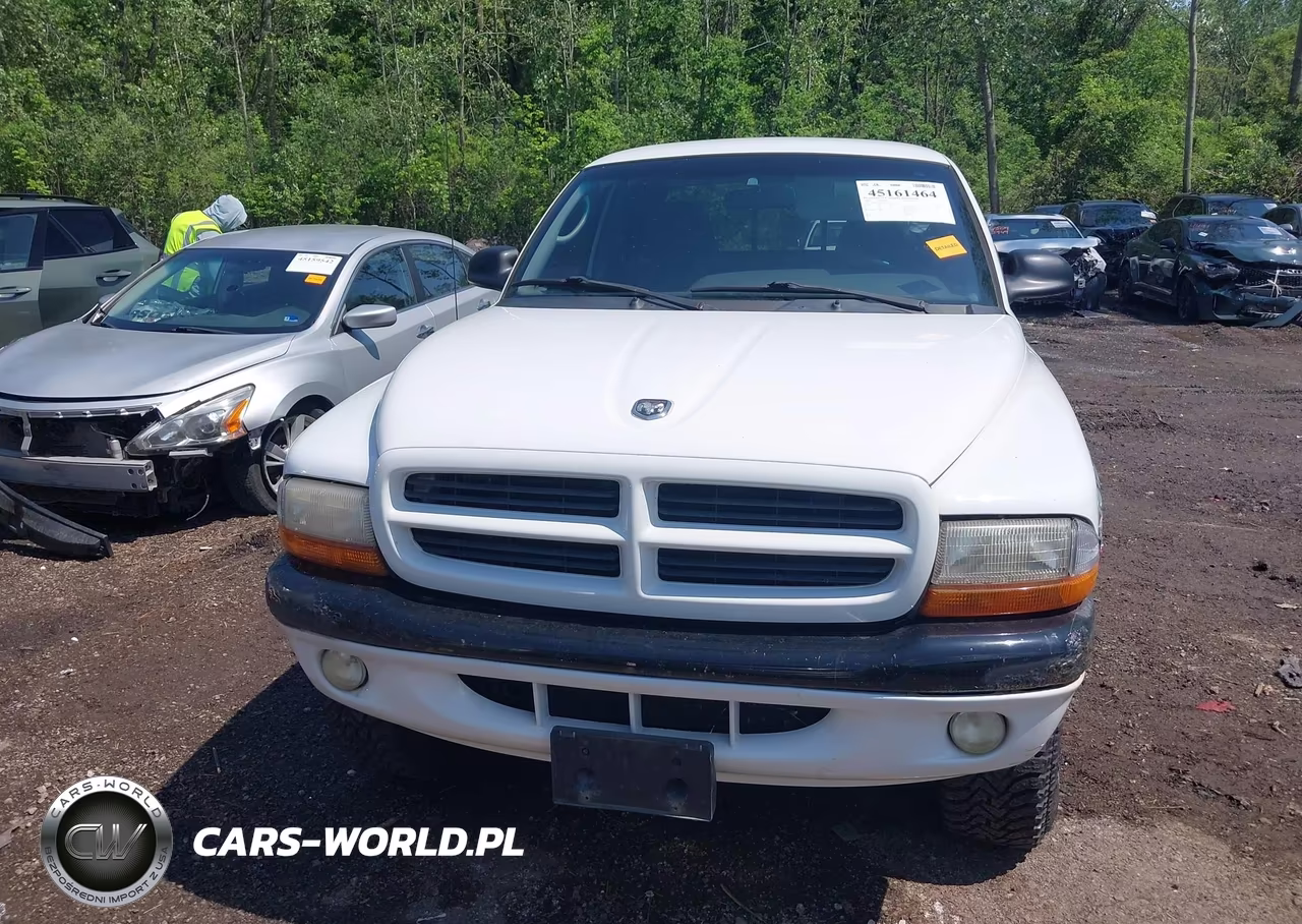 2000 Dodge Dakota Slt-Sport VIN:1B7GG22N8YS524544 - 11