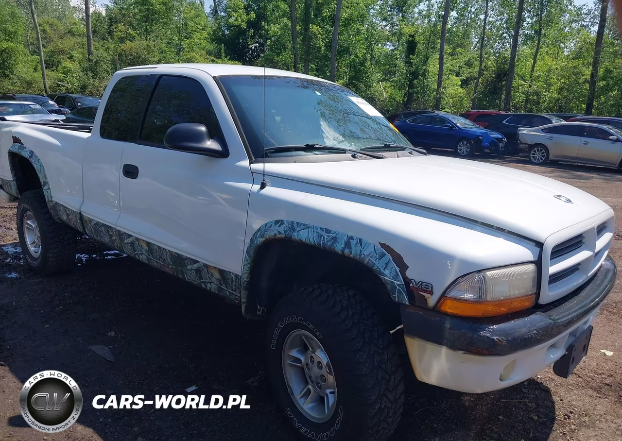 2000 Dodge Dakota Slt-Sport VIN:1B7GG22N8YS524544 - 12