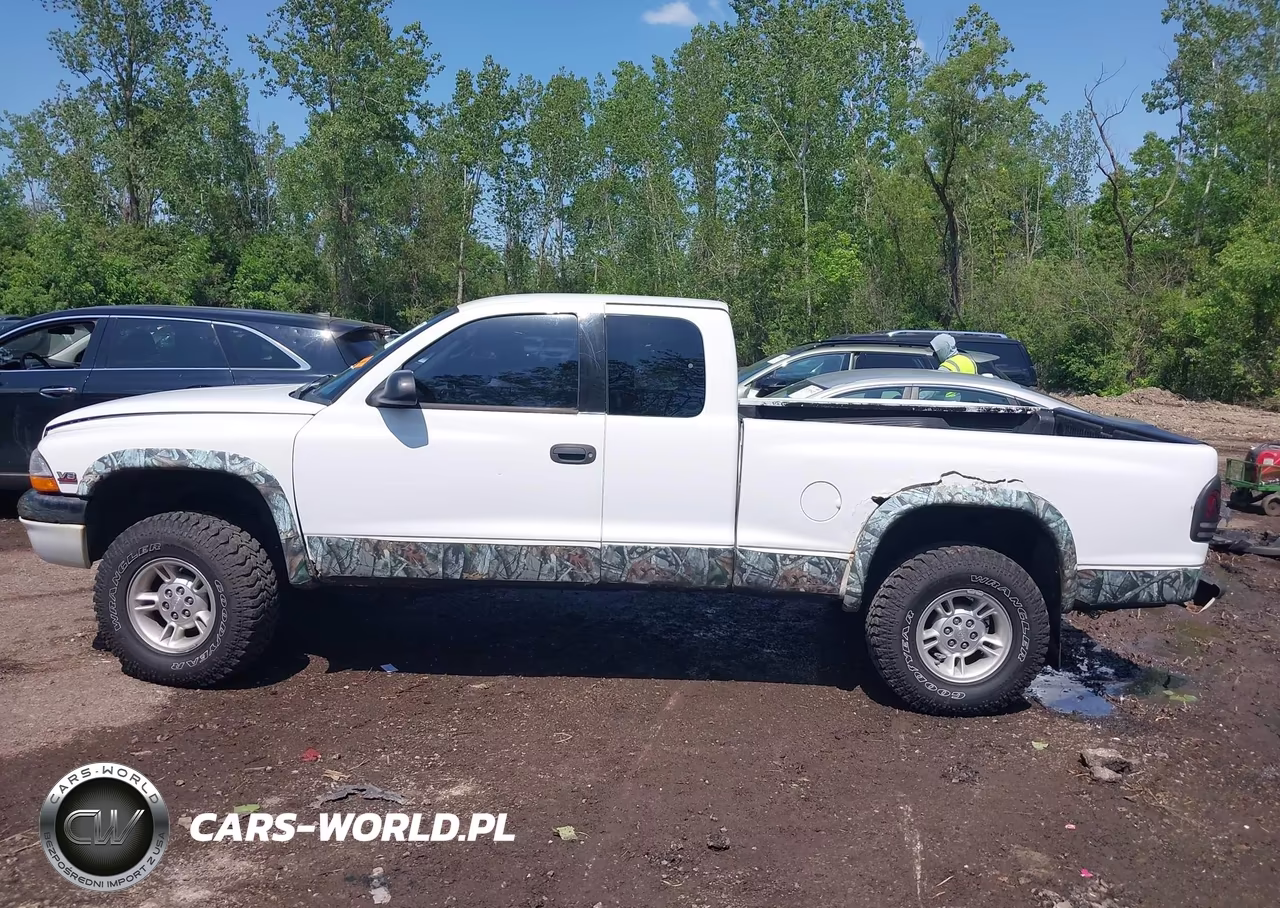 2000 Dodge Dakota Slt-Sport VIN:1B7GG22N8YS524544 - 13
