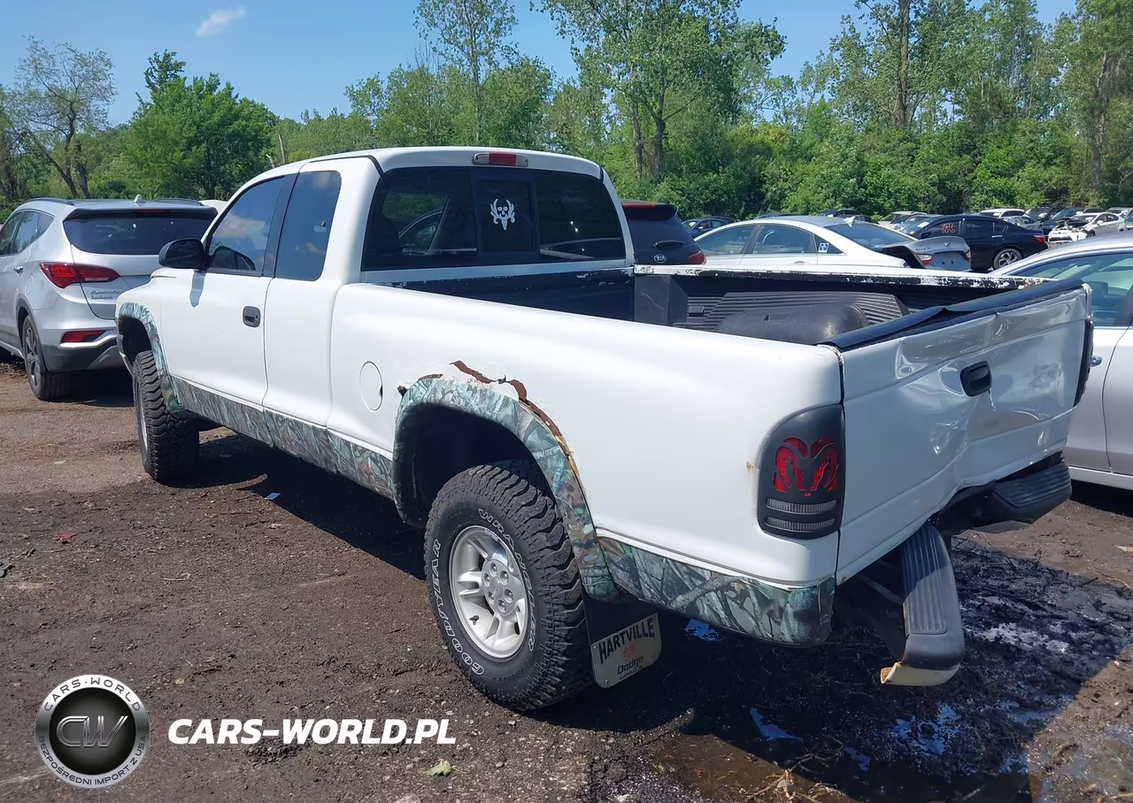 2000 Dodge Dakota Slt-Sport VIN:1B7GG22N8YS524544 - 3