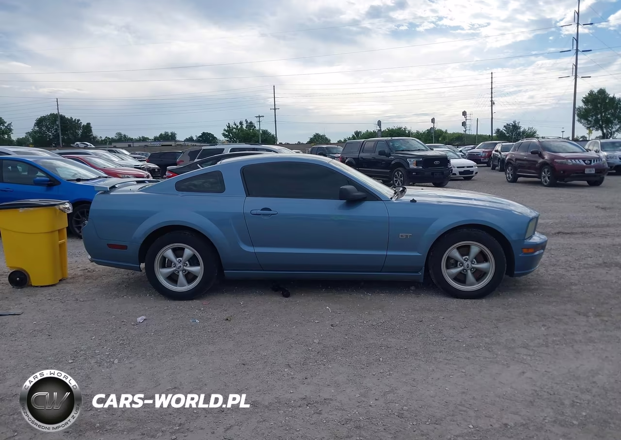 2007 Ford Mustang Gt Deluxe-Gt Premium VIN:1ZVHT82H775223240 - 13