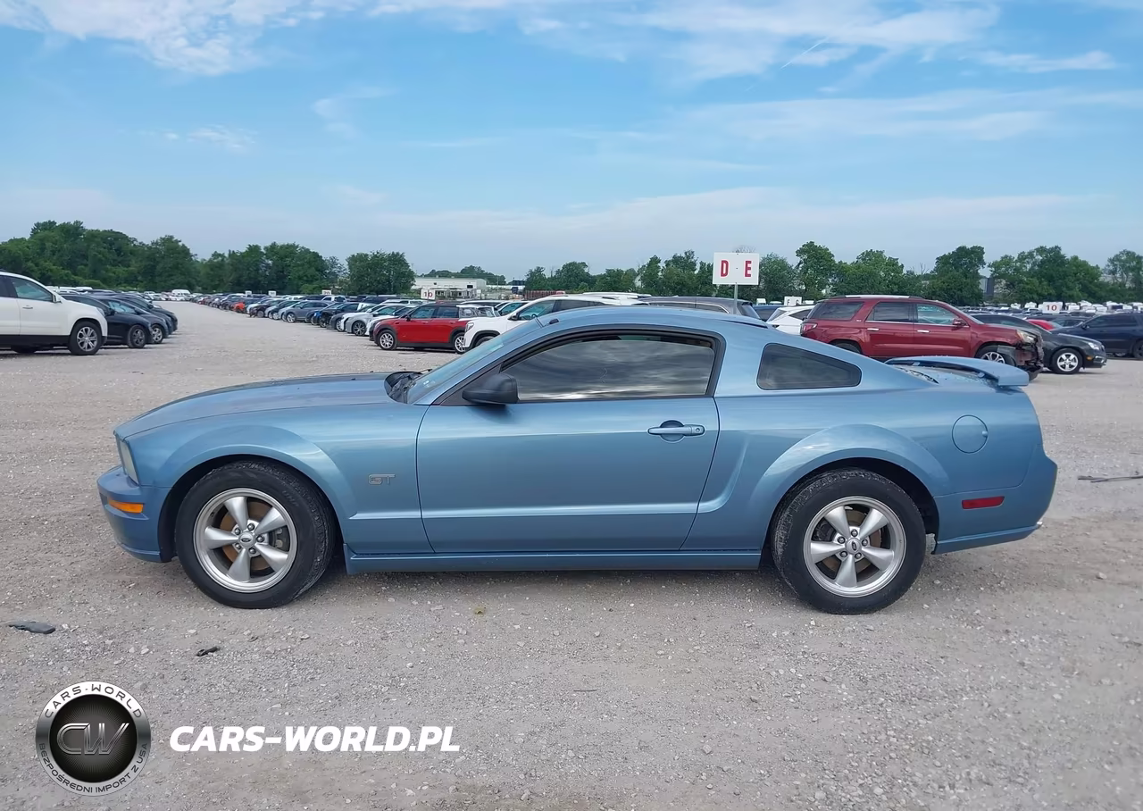 2007 Ford Mustang Gt Deluxe-Gt Premium VIN:1ZVHT82H775223240 - 14