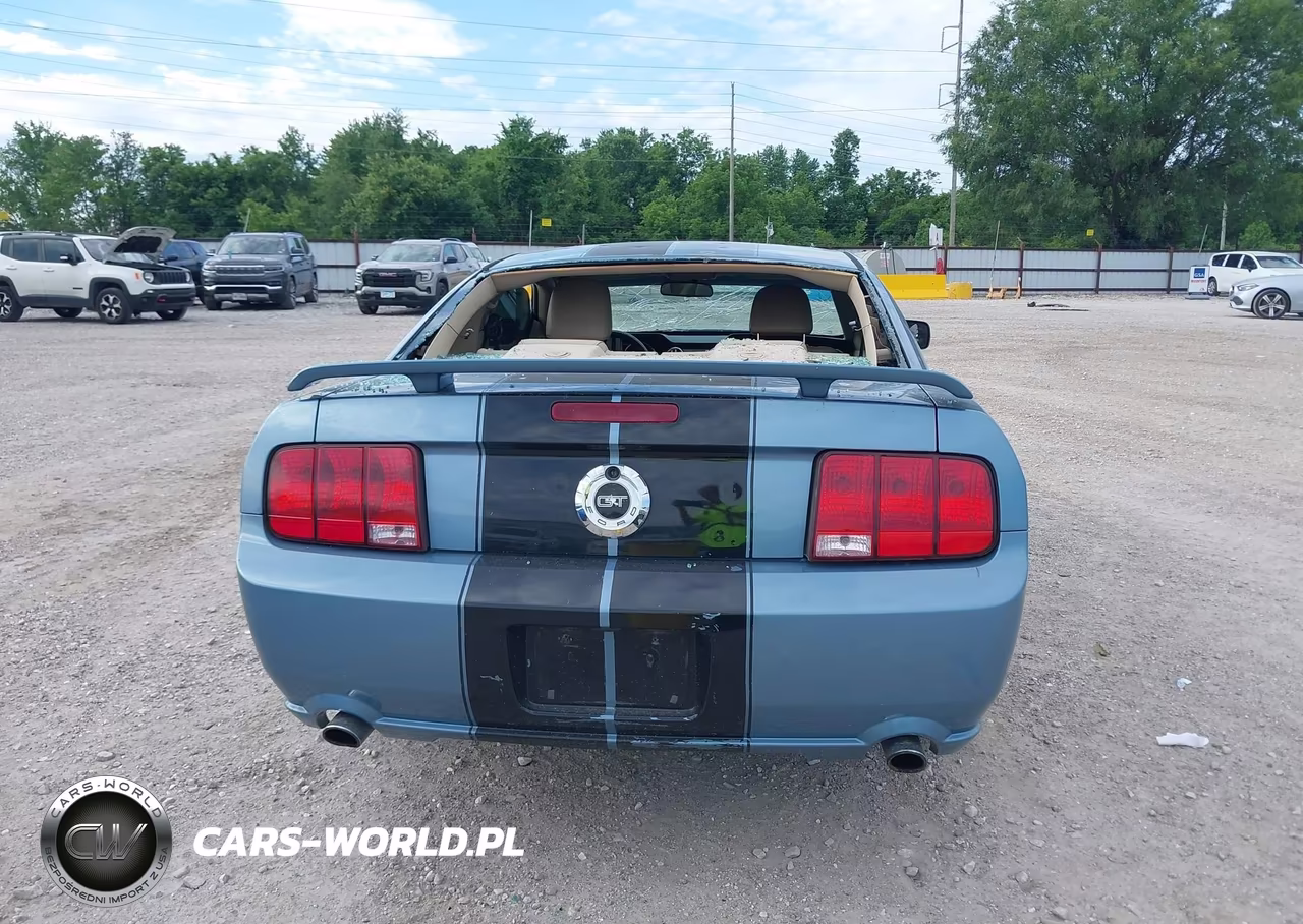 2007 Ford Mustang Gt Deluxe-Gt Premium VIN:1ZVHT82H775223240 - 16