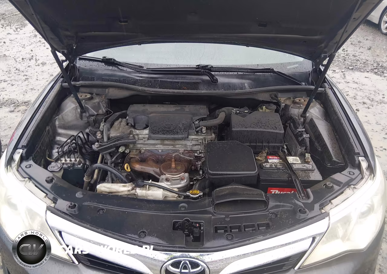 2014 Toyota Camry Le VIN:4T1BF1FK8EU443806 - 10