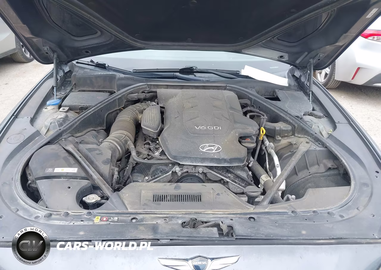2015 Hyundai Genesis 3.8 VIN:KMHGN4JEXFU090160 - 10