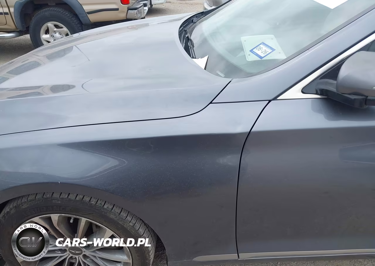 2015 Hyundai Genesis 3.8 VIN:KMHGN4JEXFU090160 - 12