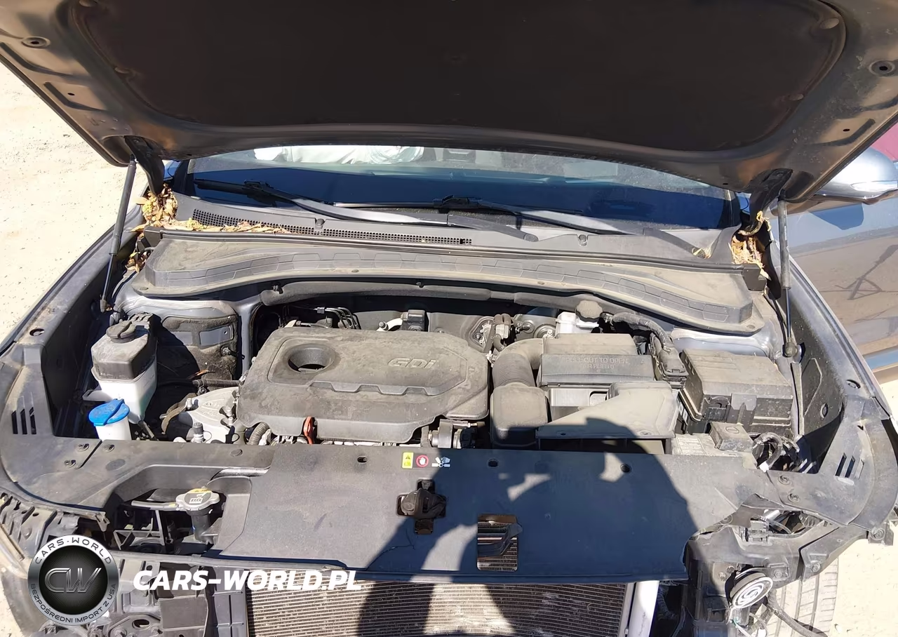 2020 Hyundai Santa Fe Limited VIN:5NMS53AD2LH150774 - 10