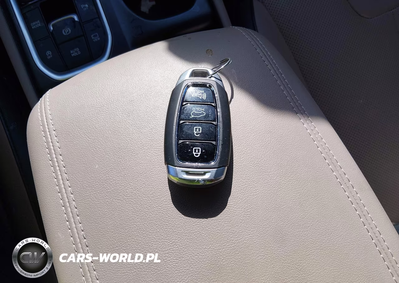 2020 Hyundai Santa Fe Limited VIN:5NMS53AD2LH150774 - 11