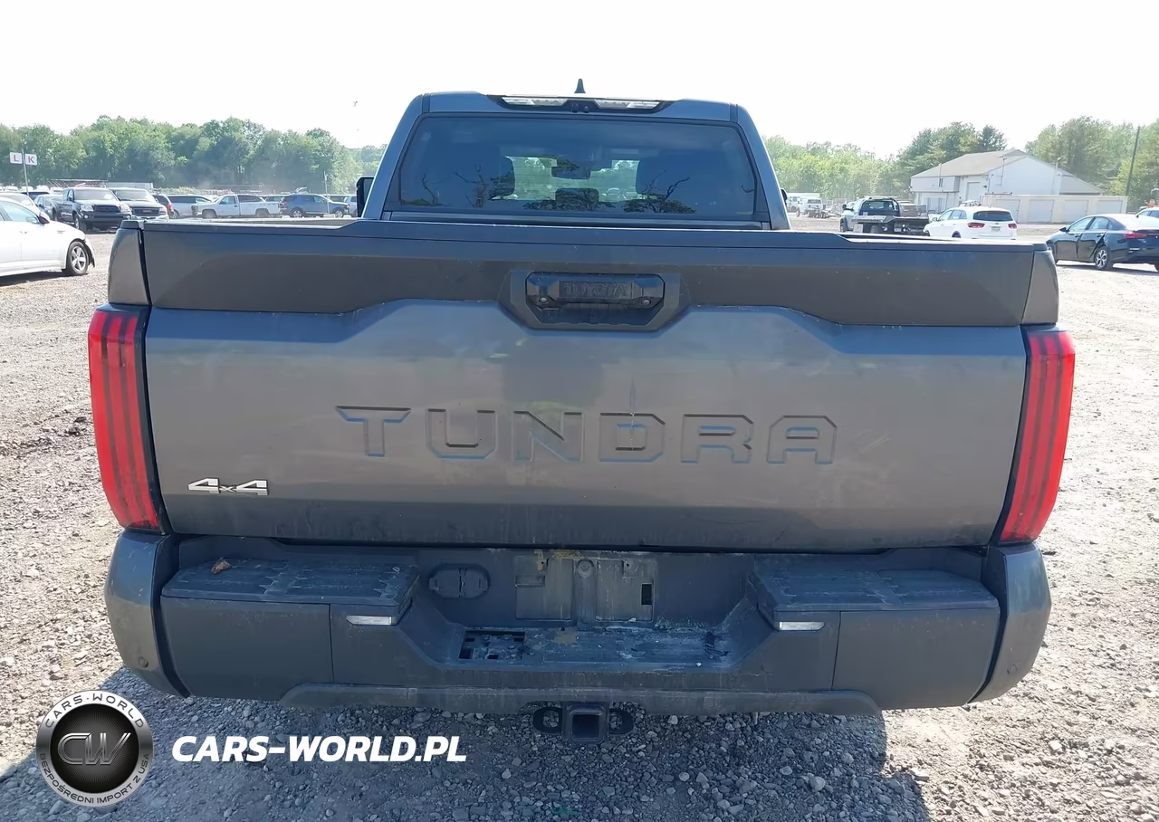 2023 Toyota Tundra Sr5 VIN:5TFLA5EC5PX016061 - 17