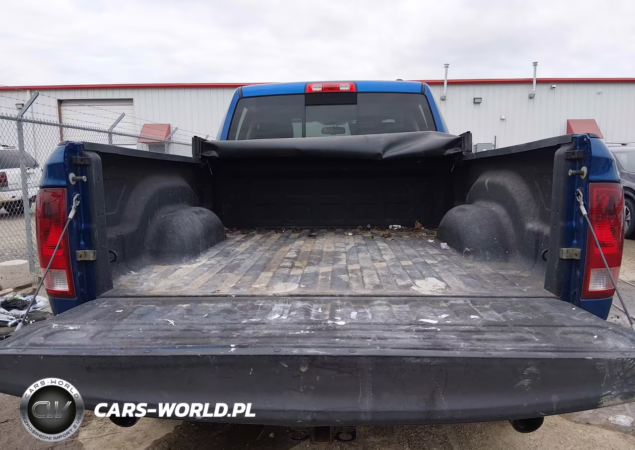 2010 Dodge Ram 1500 Slt-Sport-Trx VIN:1D7RV1GT3AS252402 - 16