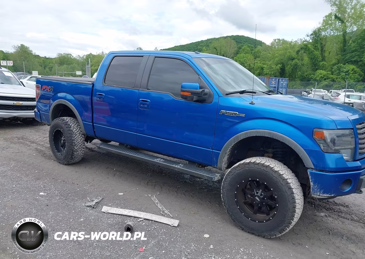 2012 Ford F-150 Fx4 – zdjęcie 1 z 16
