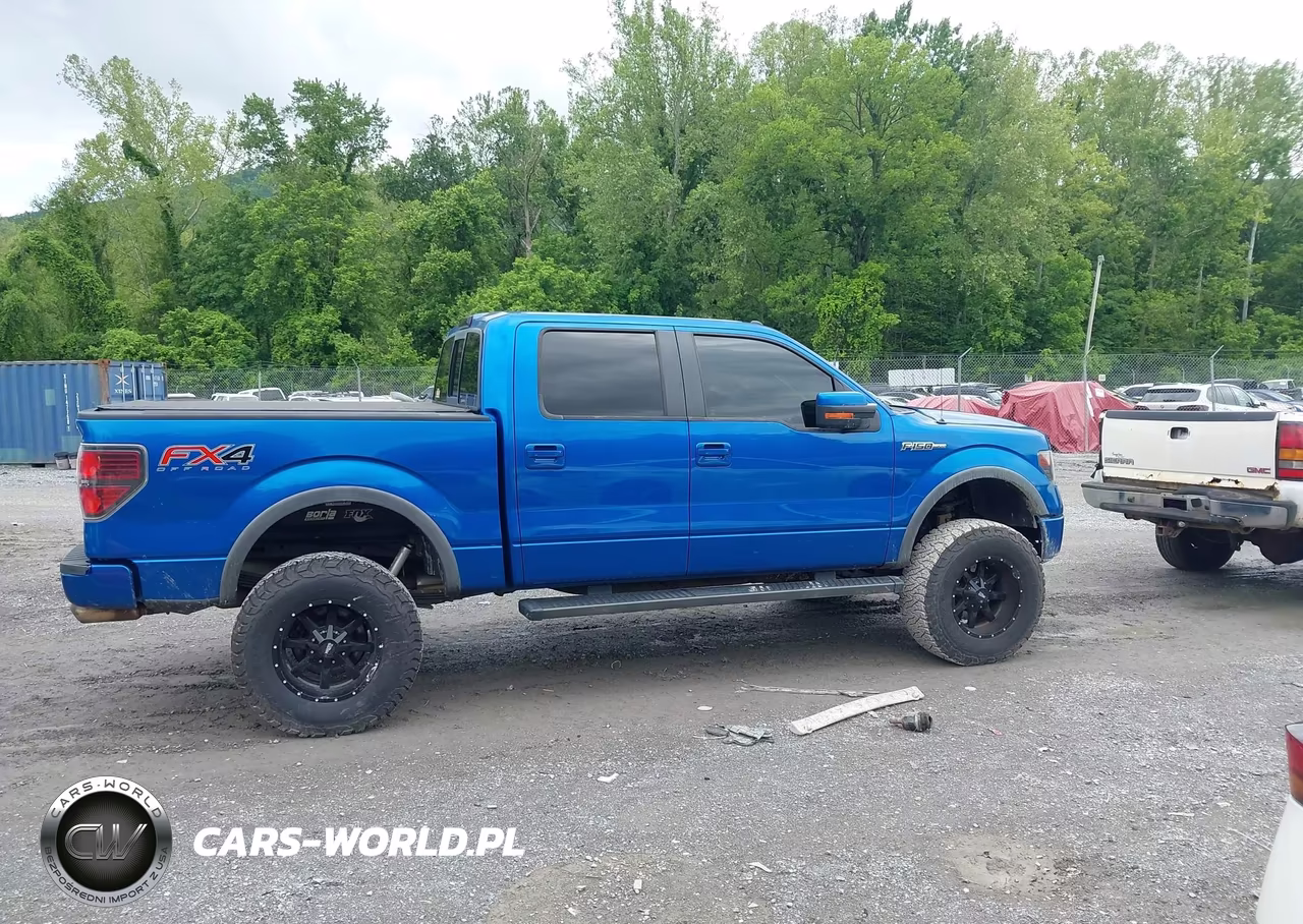 2012 Ford F-150 Fx4 VIN:1FTFW1EF1CFC32278 - 13