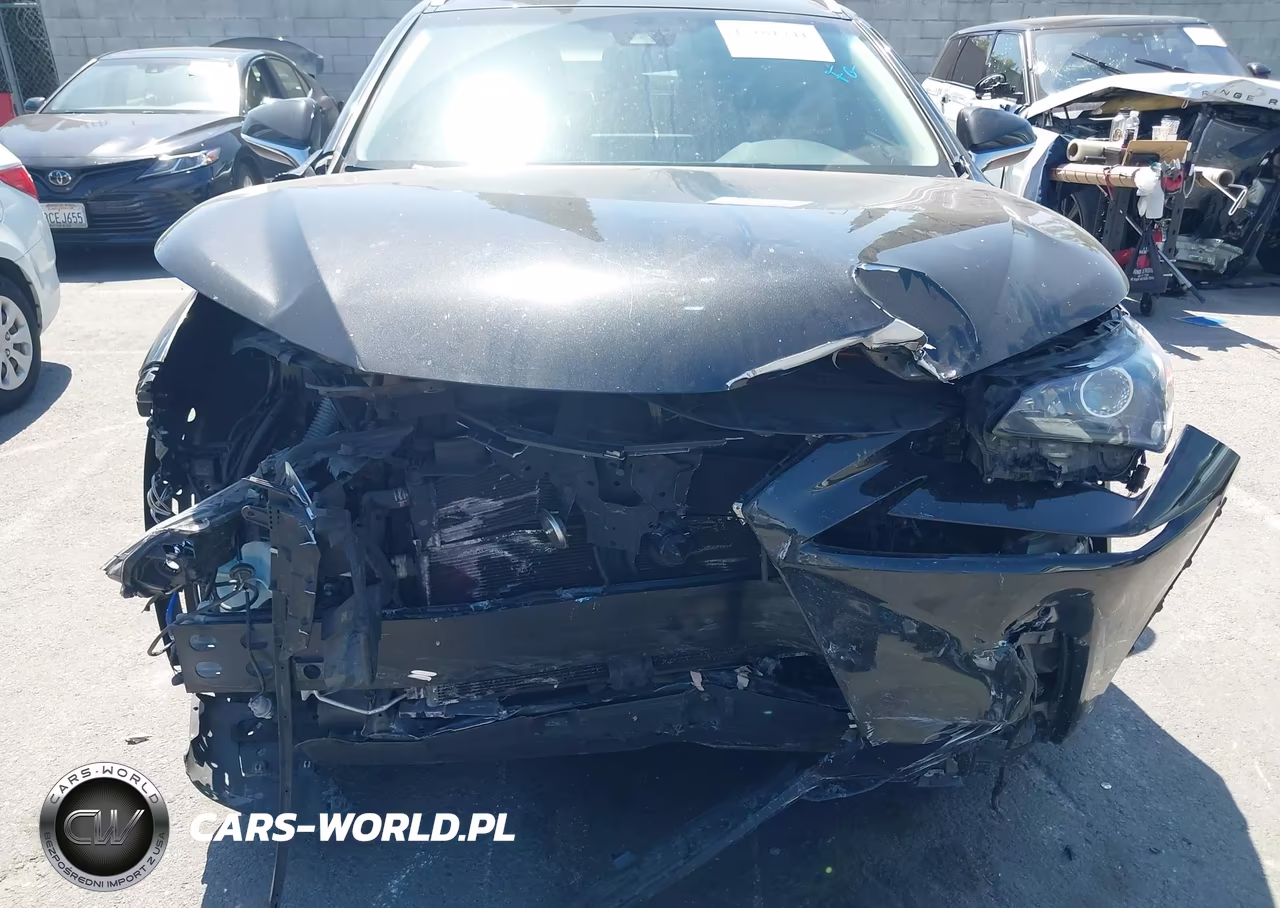 2019 Lexus Nx 300H VIN:JTJBJRBZ0K2107754 - 13