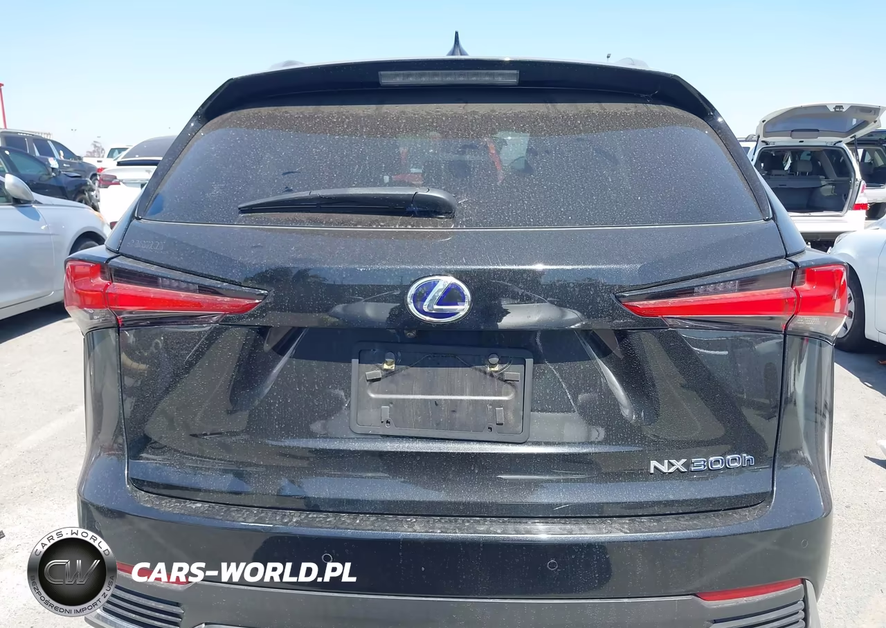 2019 Lexus Nx 300H VIN:JTJBJRBZ0K2107754 - 17