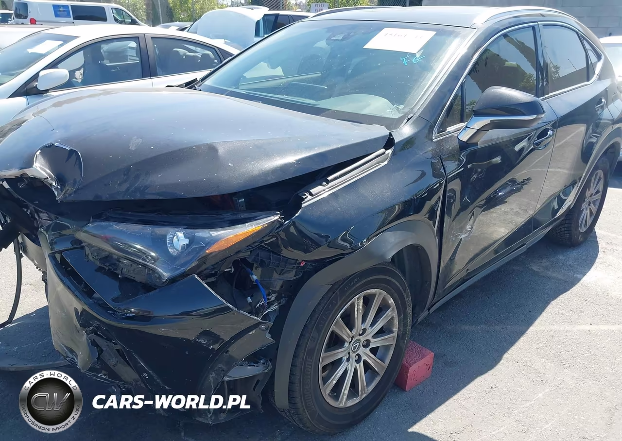 2019 Lexus Nx 300H VIN:JTJBJRBZ0K2107754 - 18