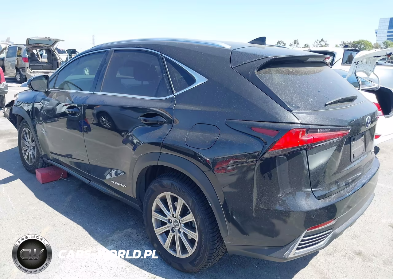 2019 Lexus Nx 300H VIN:JTJBJRBZ0K2107754 - 3