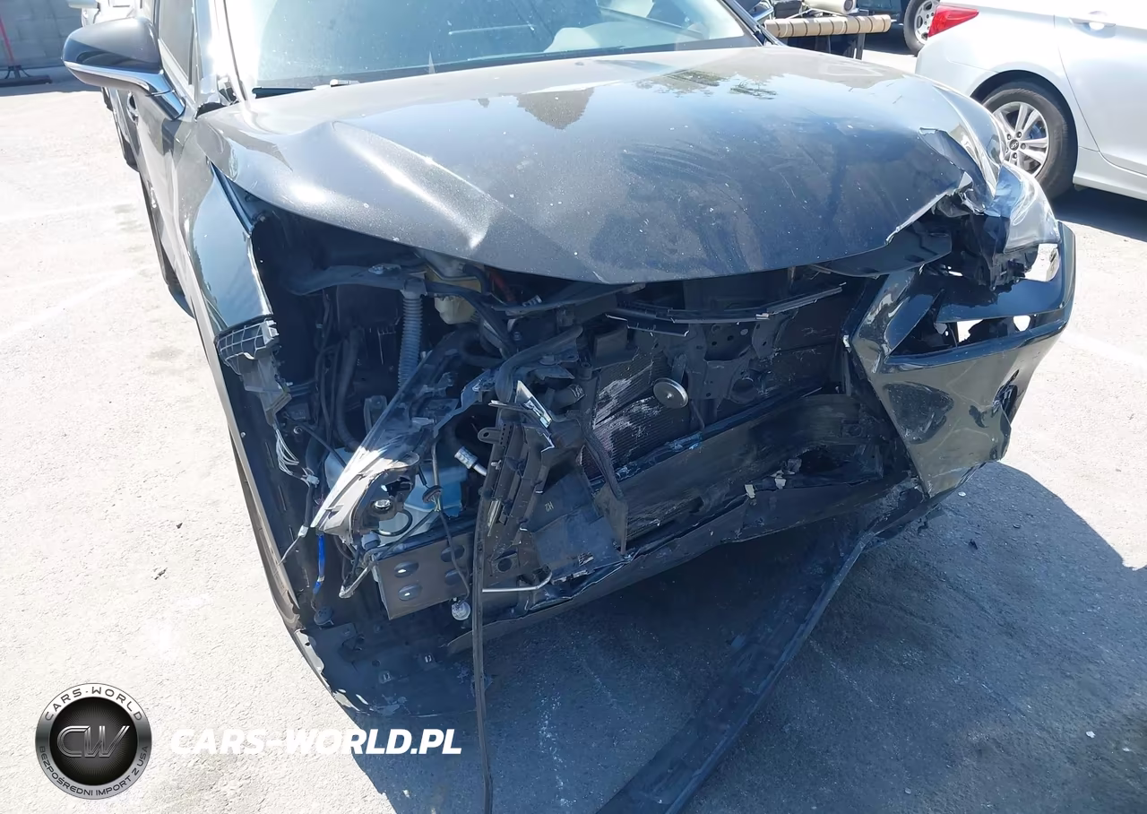 2019 Lexus Nx 300H VIN:JTJBJRBZ0K2107754 - 6