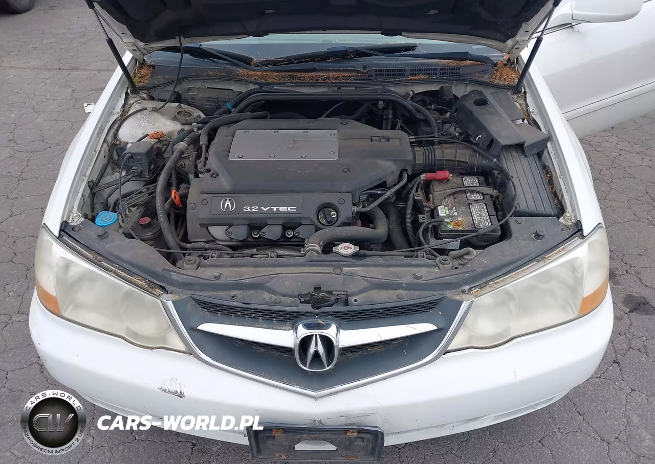 2003 Acura Tl 3.2 VIN:19UUA566X3A003916 - 10