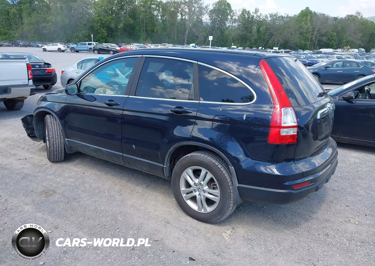 2011 Honda Cr-V Ex-L VIN:5J6RE3H77BL024593 - 3