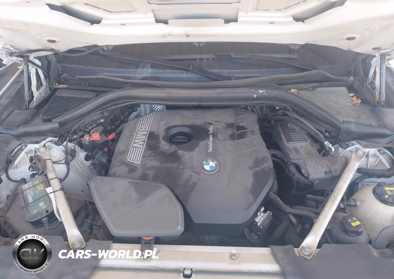 2019 BMW X3 Sdrive30I VIN:5UXTR7C57KLF27975 - 10